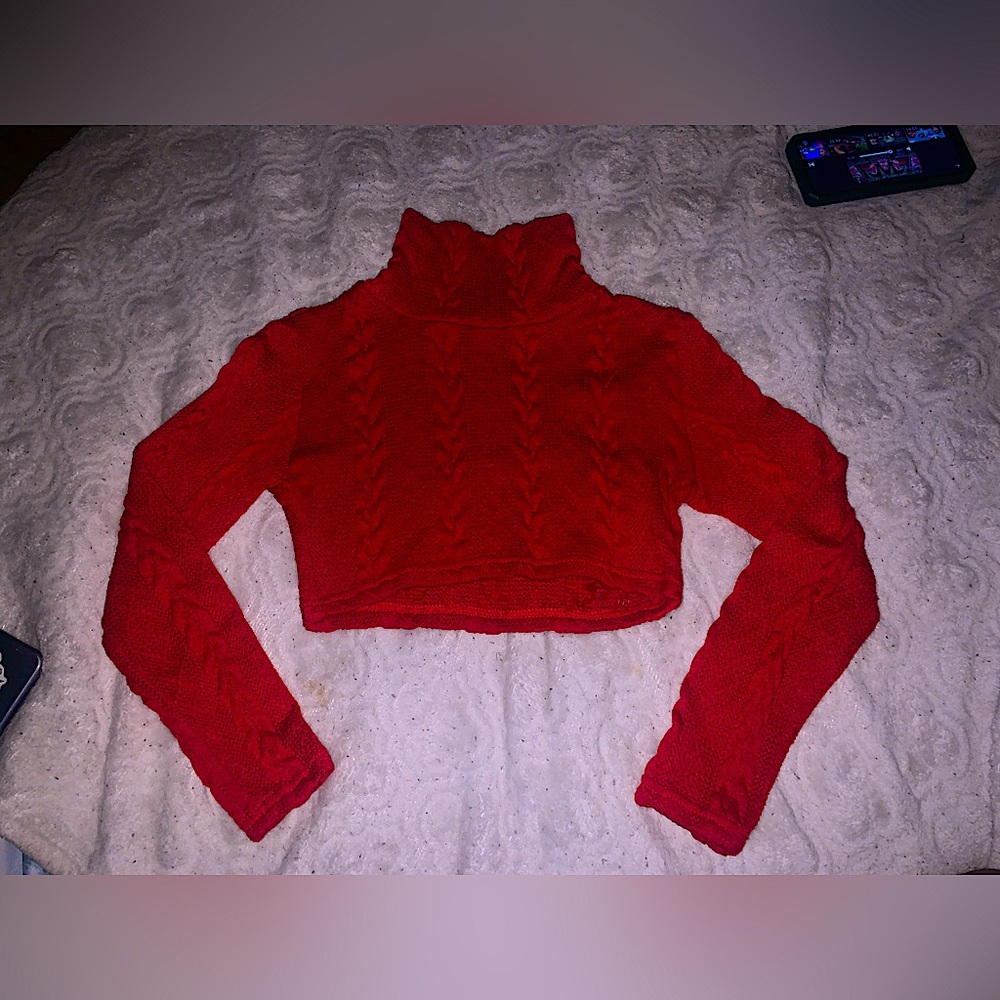 High Cropped Turtleneck Sweater